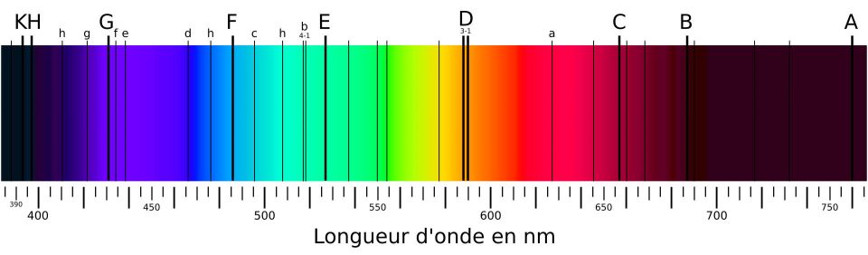 Réunion du vendredi 17 janvier 2025